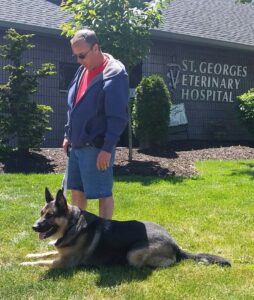 Dog Trainer Cincinnati Blog on causes of aggression