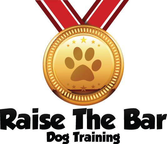 Raise The Bar Dog Training